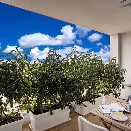 Apartment Homey Experience - City Dream